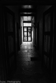 IIP Online Student Photography